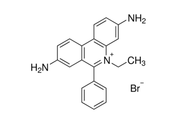 ethidium bromide, solution ~1% in water
