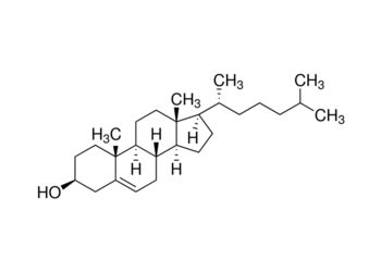 cholesterol, gr 99%+