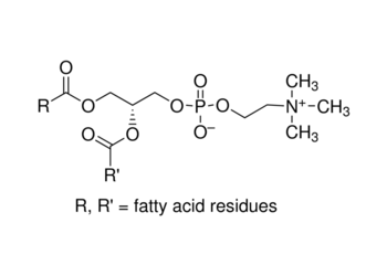 l-α-phosphatidylcholine