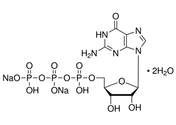 guanosine 5′-triphosphate sodium salt hydrate, ≥90%