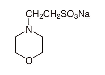 sodium 2-morpholinoethanesulphonate, 99%