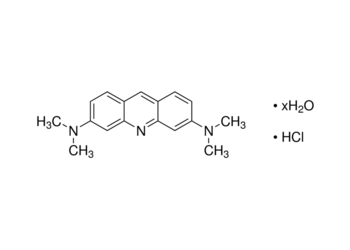 acridine orange