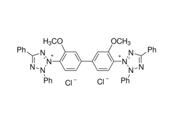 blue tetrazolium