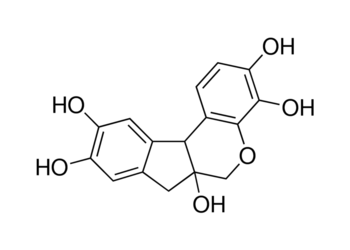 hematoxylin powder
