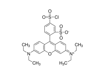 lissamine rhodamine b