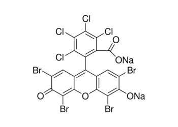 phloxin b