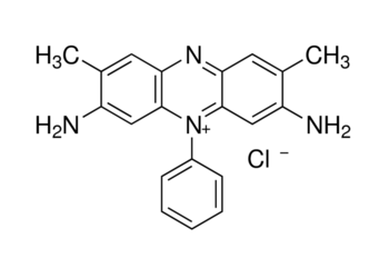 safranine