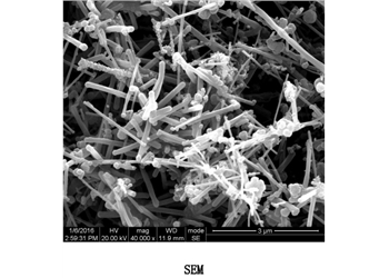 carbon nanofibers, dia 50-200 nm, 99.9%
