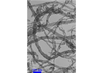 graphitized multiwalled carbon nanotubes, 99.9% [cooh functionalized] (od: 50-80 nm, id: 5-15 nm, length: 10-20 um)