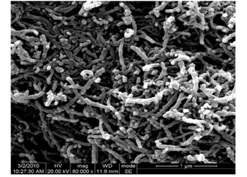 graphitized multi-walled carbon nanotubes, 99.9+% (od: 20-30 nm, id: 5-10 nm, length: 10-30 um)