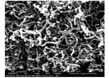 graphitized multi-walled carbon nanotubes, 99.9+% (od: 30-50 nm, id: 5-12 nm, length: 10-20 um)