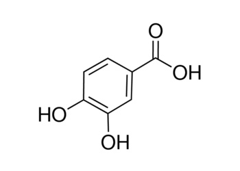 protocatechuic acid, 98%