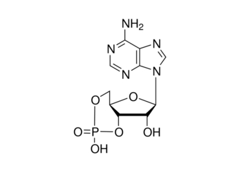 adenosine 3′,5′-cyclic monophosphate, ≥98.5% (hplc), powder