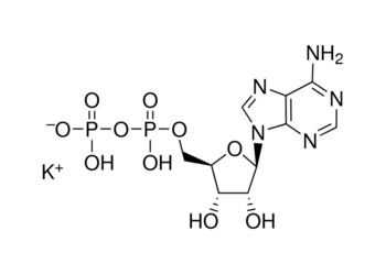 adenosine 5′-diphosphate disodium salt, 98%