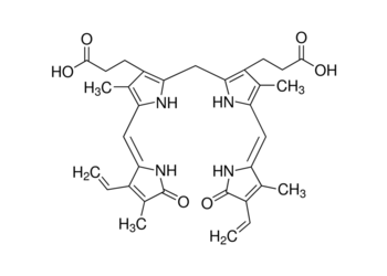 bilirubin, gr 99%+