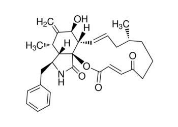 cytochalasin a, from drechslera dematioidea, 99% cytochalasin a, from drechslera dematioidea, 99%