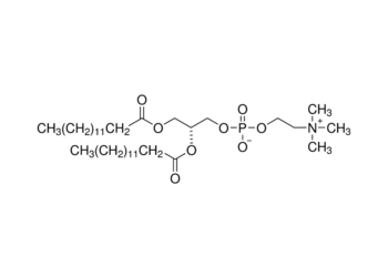 1,2-dimyristoyl-sn-glycero-3-phosphocholine, 99%