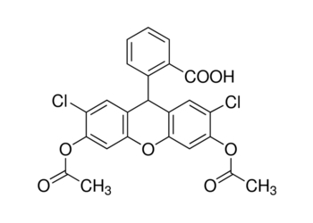 2′,7′-dichlorofluorescin diacetate, ≥97%