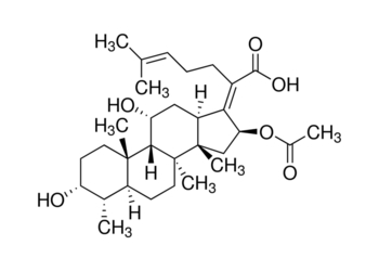 fusidic acid, 98%