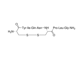 oxytocin