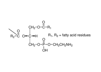 3-sn-phosphatidylethanolamine, from bovine brain