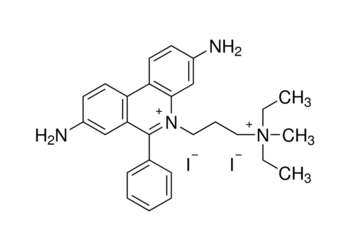 propidium iodide, solution 1.0 mg/ml in water