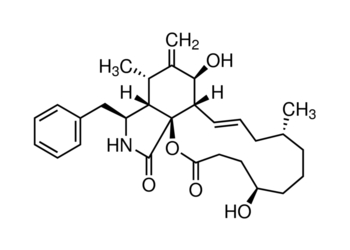 dihydrocytochalasin b