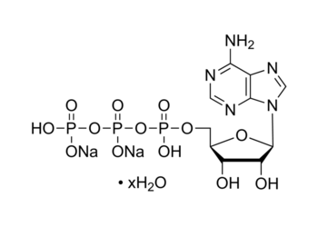 adenosine 5′-triphosphate disodium salt, 99%