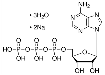 adenosine 5′-triphosphate disodium salt trihydrate