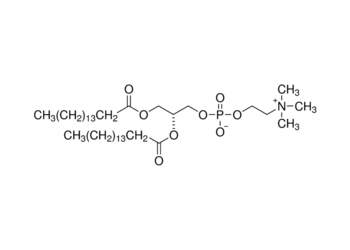 1,2-dipalmitoyl-sn-glycero-3-phosphocholine, 99%