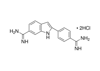 4',6-diamidino-2-phenylindole dihydrochloride, 98%