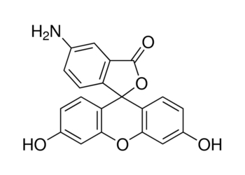 fluoresceinamine, isomer i