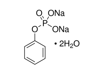 phenyl phosphate disodium salt, gr 99%+