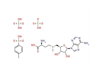 (s)adenosyl-l-methionine disulfate tosylate, 98%