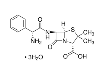 ampicillin, puriss