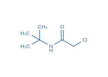 n-(tert-butyl)-2-chloroacetamide, 97%