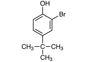 2-bromo-4-tert-butylphenol, 98%