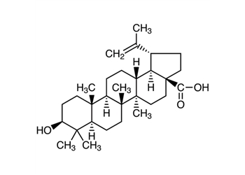 betulinic acid, 97%