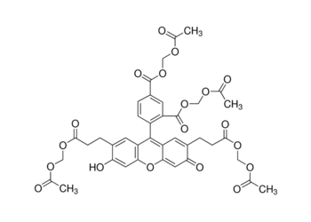 2′,7′-bis(2-carboxyethyl)-5(6)-carboxyfluorescein tetrakis(acetoxymethyl) ester