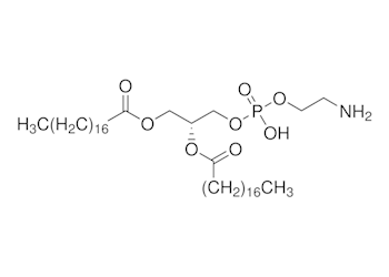 1,2-distearoyl-sn-glycero-3-phosphoethanolamine, ≥99%
