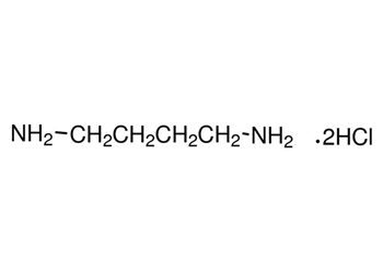 1,4-diaminobutane dihydrochloride, 95%