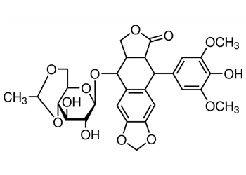 etoposide synthetic, 98-105%, powder