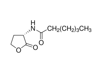 n-hexanoyl-l-homoserine lactone, ≥96% (hplc)