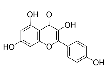 kaempferol, ≥98%