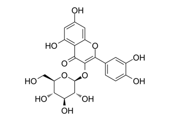 quercetin 3-β-d-glucoside, ≥90% (hplc)