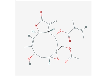 rotundine, 99%