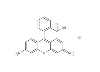 rhodamine 110 chloride, suitable for fluorescence, ≥99%