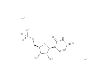 uridine 5′-monophosphate disodium salt, ≥99%