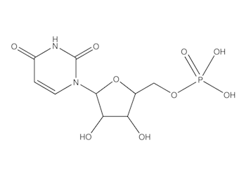 uridine 5′-monophosphate, ≥98%