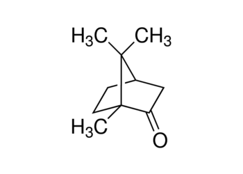 camphor